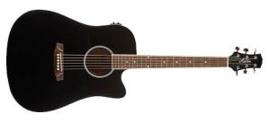 Ashton D20SCEQ BK